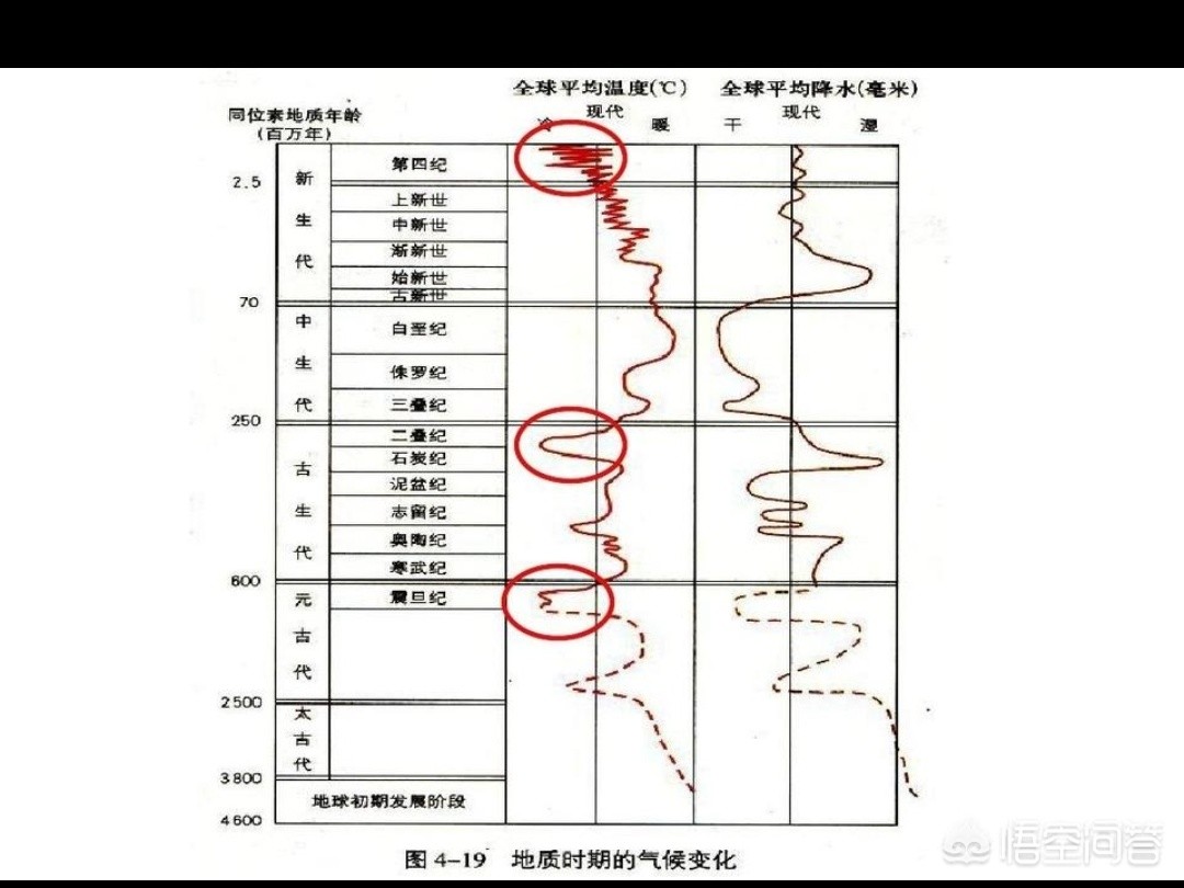 战火中的伊甸园，战火中的伊甸园豆瓣评分