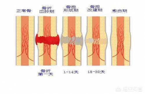 之后3在线观看电视剧免费高清完整版，之后3在线观看电视剧免费高清完整版多长时间