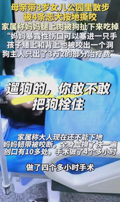 新澳2025最新资料大全论坛和7岁男孩遭3只犬撕咬与7岁男孩遭3只犬撕咬怎么办